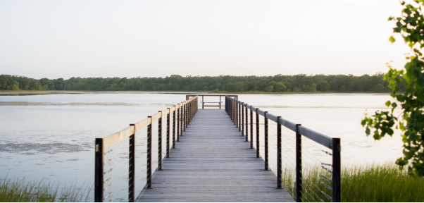 Lake view from a bridge at Millican Reserve