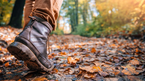 a hiking boot is bent as a person walks on a leafy trail
