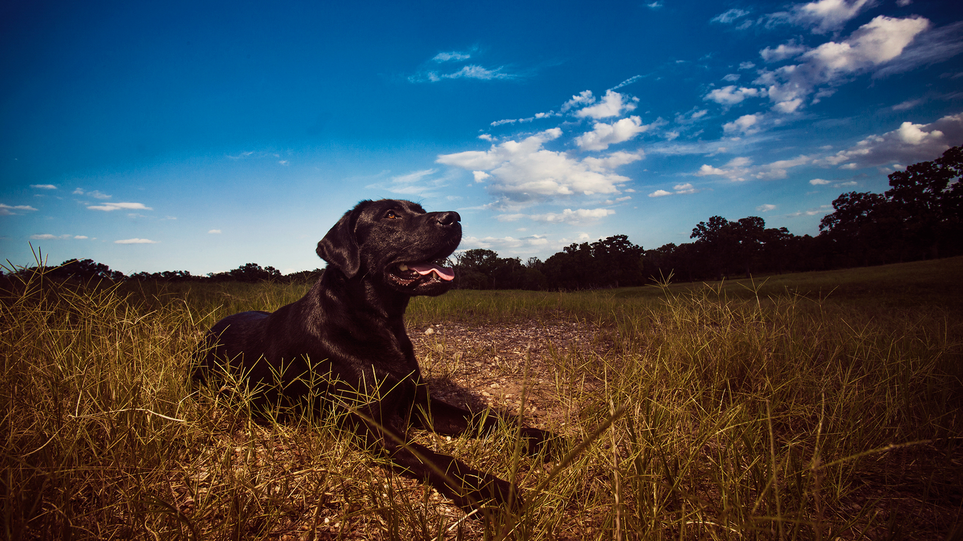 Millican Reserve photo 19