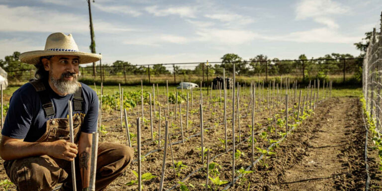 Growing a Connection to Your Food